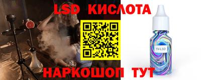 СК Будённовск