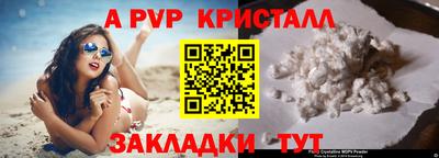 СК Будённовск